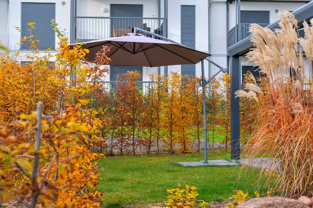 Garten mit Sonnenschirm und Herbstgräsern